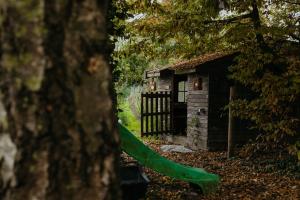 a small building with a green slide in the woods at Au Pied Du Trieu, The Shelter in Labroye