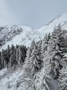 Fotografia z galérie ubytovania Arlberg Moments early check-in late check-out v destinácii Sankt Anton am Arlberg