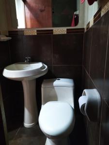 a bathroom with a toilet and a sink at Alojamiento Místico in Ayacucho