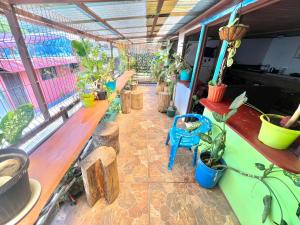 Balkón nebo terasa v ubytování Passifloras Hostel