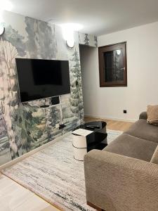 salon z płaskim telewizorem na ścianie w obiekcie Appartement moderne vieille ville PARKING GRATUIT w Annecy