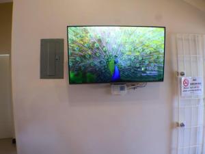 a flat screen tv hanging on a wall at Harbour Oasis Retreat - Charming 2 Bedroom House in Old Harbour