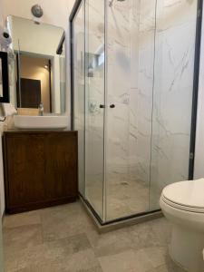 a bathroom with a shower and a toilet at La Casa Mia Leon in León +20 photos