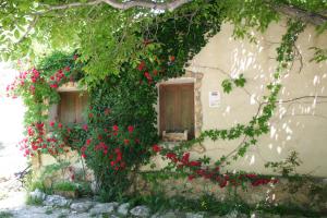 Casas Rurales Los Enebros Nerpio外面的花园