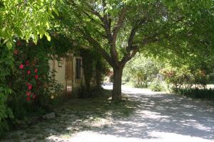 Casas Rurales Los Enebros Nerpio外面的花园