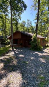 una cabaña en medio de un bosque con árboles en Cabañas en Pucón, en Pucón