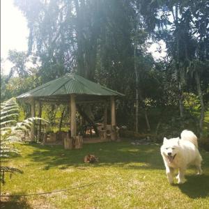 Fotografie z fotogalerie ubytování Cabañas Rusticas El Viejo Tambo v destinaci San Pedro