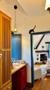 a kitchen with a cat sitting on top of a counter at Provence Cottage in Camanducaia