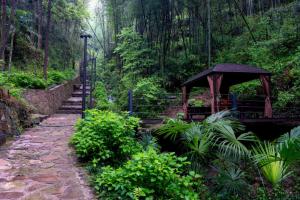Zhangjiajie Rock language art hotel-Free pick up service外面的花园