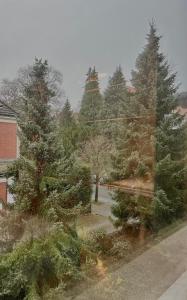 Κήπος έξω από το Gemütliche und Zentrumsnahe Wohnung in Goslar