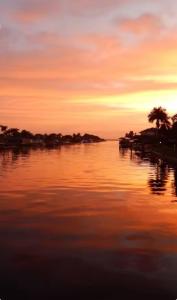 un tramonto su un corpo di acqua con alberi di Cape Coral Paradise - Amazing View a Cape Coral