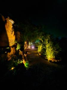Zahrada ubytování HOSTAL DON FELIX