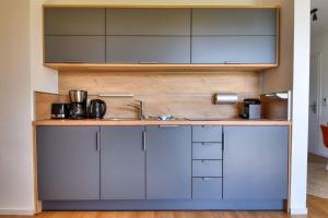a kitchen with a sink and a counter at Ferienwohnung Haubentaucher 25 im Wreecher Idyll Rügen by ruyastay in Putbus +9 photos