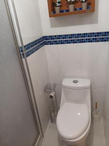 a white bathroom with a toilet and a shower at Destino Marino Apartamento con vista al mar Tucacas in Tucacas +7 photos