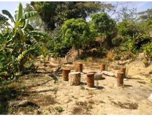 Zahrada ubytování Coorg hill crest family room + 1 fotografie