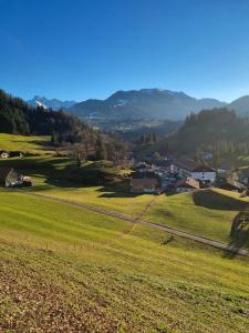 a green field with a town and mountains in the background at Ferienwohnung Alpenglück mit Schwimmbad und Sauna in Oberstdorf