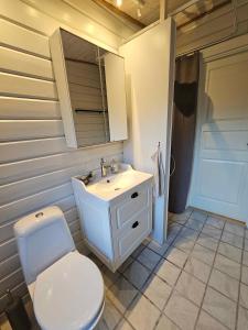 Un baño con un inodoro blanco y un lavabo. en The Sun House, en Hundested