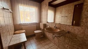 a bathroom with a sink and a toilet at Ferienwohnung Sonnenblick in Arrach in Arrach