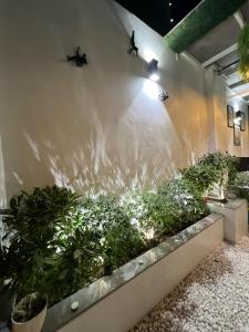 Fotografie z fotogalerie ubytování Penthouse by The Generations v Novém Dillí