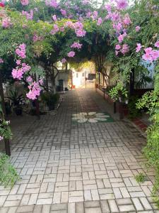 Zahrada ubytování Betul Guest House