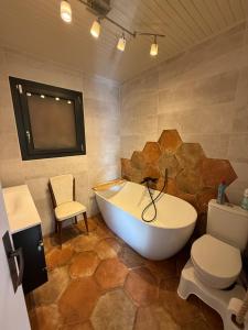Koupelna v ubytování Chalet avec Spa Magnifique vue + 27 fotografií