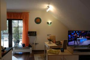 巴特明斯特艾弗爾的住宿－Ferienwohnung Orchidee，一间带电视和大窗户的客厅