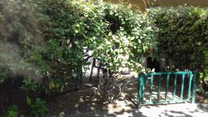 Κήπος έξω από το Studio Jardinet