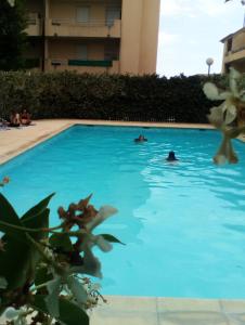 Πισίνα στο ή κοντά στο Studio Jardinet