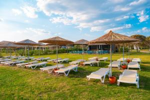 a row of lounge chairs and umbrellas in a field at The X Belek in Belek