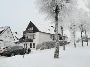 Haus Schneider v zimě