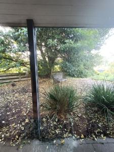 Gallery image of Home Pool and Park in Frankston South +3 photos