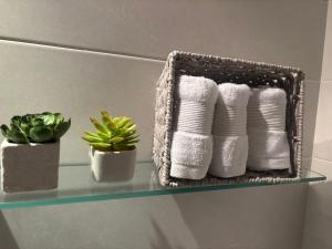 a rack of towels and plants on a shelf at Apartamentos El Espolón in Logroño +11 photos