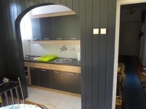 ベオグラードにあるApartment Baroqueのシンクとカウンターのあるキッチン