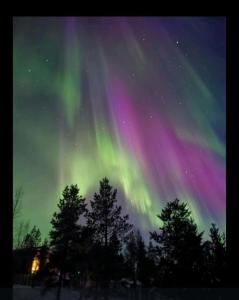 an aurora in the sky with trees in the foreground at Inari lake modest cabin in Inari