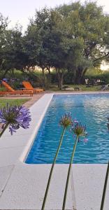 Ảnh trong thư viện ảnh của Complejo Cabañas La Aguada ở La Población