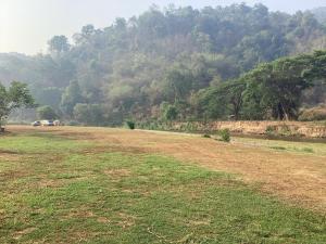 Ban Ton KhamにあるCamper van thank you1の山を背景にした草原