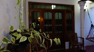 Zahrada ubytování Namal Homestay Sigiriya