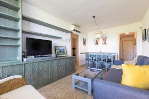 TV a/nebo společenská místnost v ubytování UHC Cye Apartments