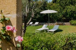 rząd krzeseł i parasol na dziedzińcu w obiekcie Marenea Suite Hotel - CDSHotels w mieście Marittima