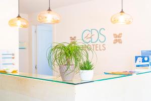 Certyfikat, podpis lub inny dokument wystawiony w obiekcie Marenea Suite Hotel - CDSHotels