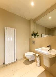 a bathroom with a toilet and a sink and a mirror at The Monet - Chic 1 bd Apt -Gold Short Term Stays in Belfast