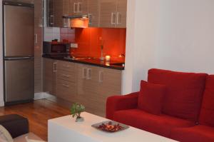 Kuchyňa alebo kuchynka v ubytovaní Apartamentos Coronado