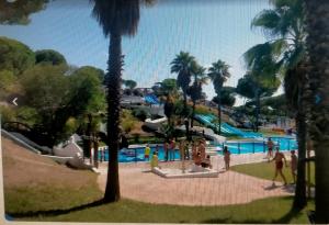 The swimming pool at or close to Alcaraván 32
