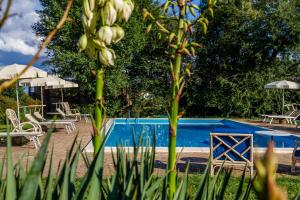 Bazén v ubytování Agriturismo Bio Fattoria Casetta nebo v jeho okolí