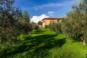 Zahrada ubytování Agriturismo Bio Fattoria Casetta