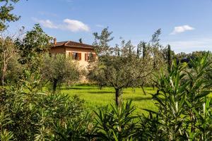 Zahrada ubytování Agriturismo Bio Fattoria Casetta