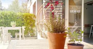 a porch with two potted plants and a table and chairs at Blanc Sable Hôtel in Golfe-Juan