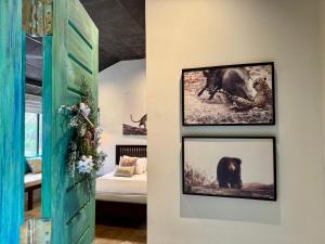 Galeriebild der Unterkunft Yala Villa in Yala + 20 Fotos