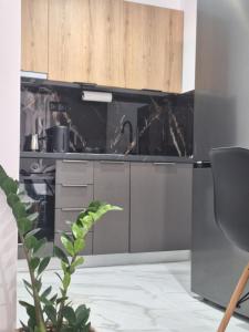 Η κουζίνα ή μικρή κουζίνα στο Studio HARMONY +7 φωτογραφίες