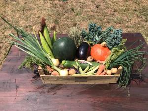 ロジルにあるGlobal Chill Farm Loftのギャラリーの写真